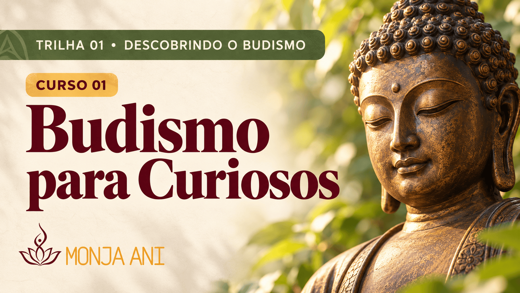 Budismo para Curiosos