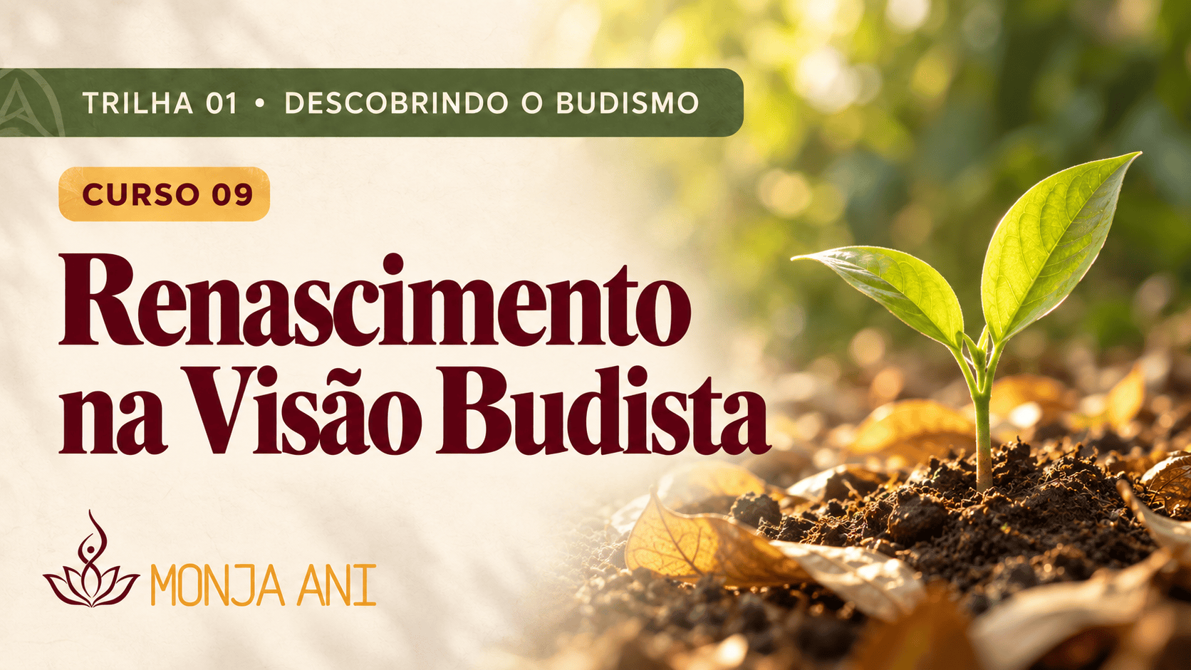Renascimento na Visão Budista
